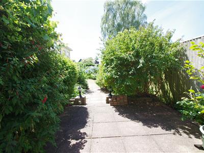 Picture 18